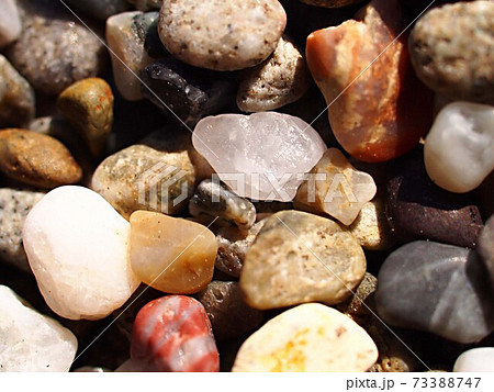 大磯砂のアップ 大磯砂のアップ 73388747