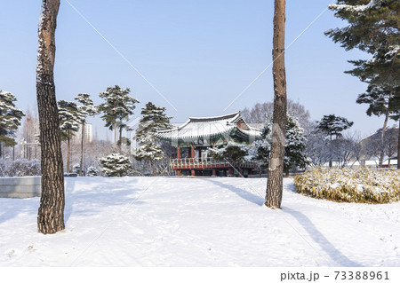 冬 雪景色 木 73388961