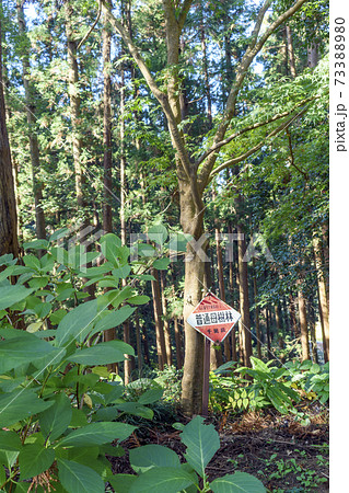 普通母樹林　看板 73388980
