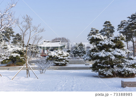 冬 雪景色 木 73388985