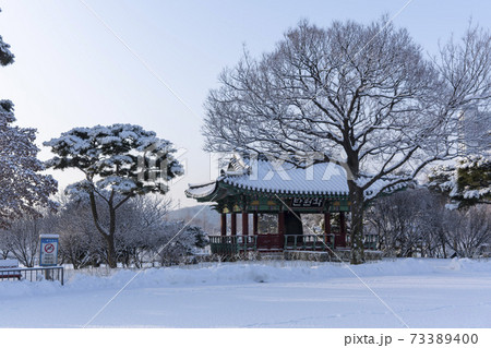 冬 雪景色 木 73389400