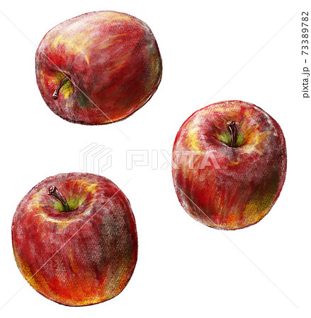 りんごの写実的な手描き水彩画風イラスト 個別 影なし のイラスト素材 7337