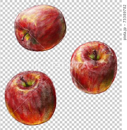 りんごの写実的な手描き水彩画風イラスト 個別 影なし のイラスト素材 7337