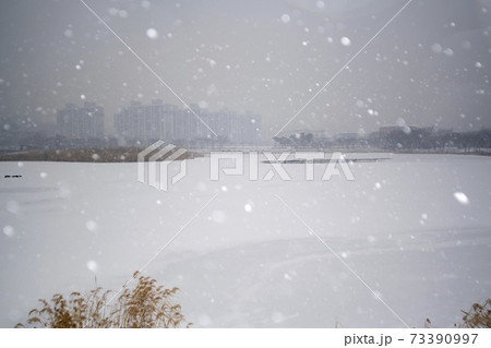 冬 雪景色 木 73390997