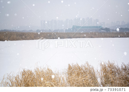 冬 雪景色 葦 73391071