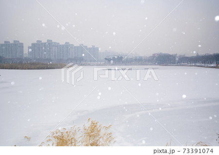 冬 雪景色 ギャラリー遊園地 73391074