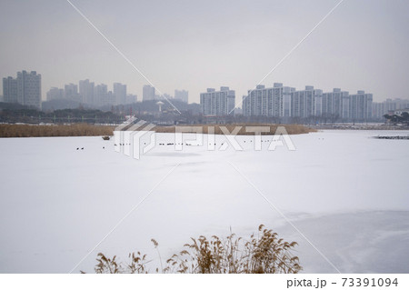 風景 冬 雪景色 73391094