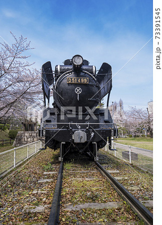 機関車と桜 春の偕楽公園 三重県観光スポット 三重県花見スポット 機関車と桜 春の偕楽公園 三重県観光スポット 三重県花見スポット 73391545