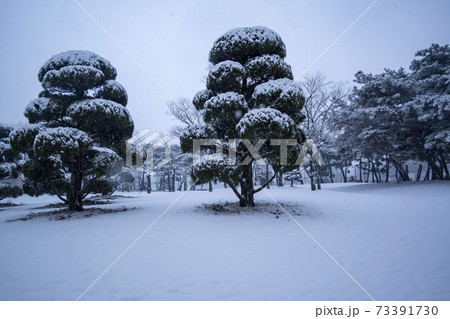 冬 雪景色 木 73391730