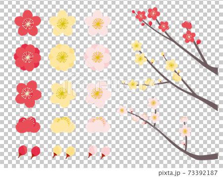 Set of various plum blossoms 73392187