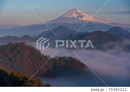 (静岡県)伊豆の国の雲海、富士山、夜明け (静岡県)伊豆の国の雲海、富士山、夜明け 73392212