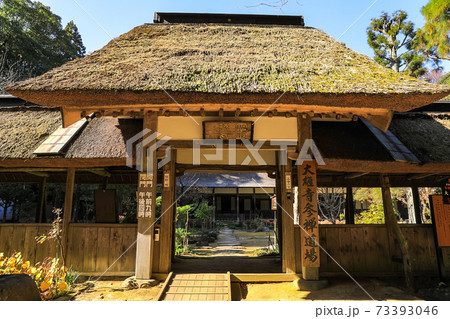 大雄寺 73393046