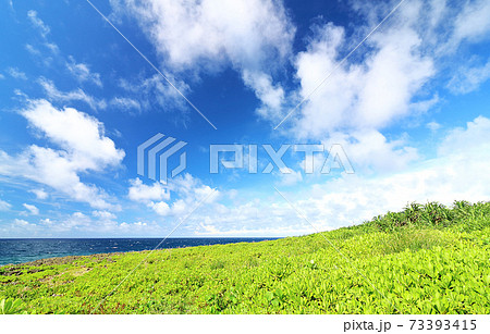 広大な草原と空と海　自然イメージ 73393415