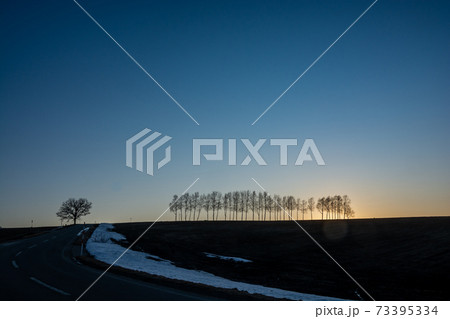 美しい早春の夕暮れの空と冬木立 73395334