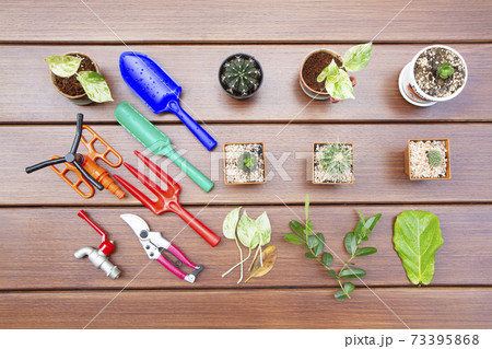 Top view of gardening tools and succulent plants on wooden floor 73395868