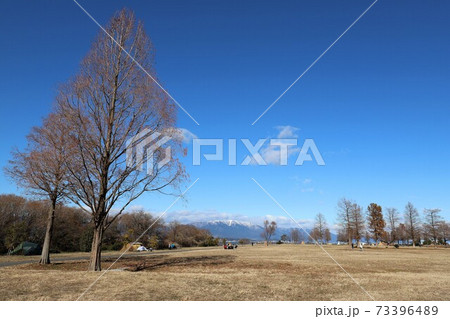 琵琶湖のしぶき氷 琵琶湖のしぶき氷 73396489