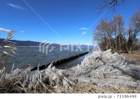 琵琶湖のしぶき氷 琵琶湖のしぶき氷 73396499
