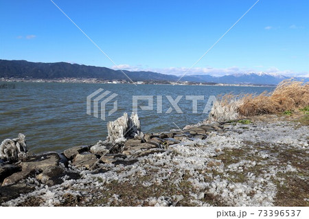 琵琶湖のしぶき氷 琵琶湖のしぶき氷 73396537