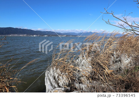 琵琶湖のしぶき氷 琵琶湖のしぶき氷 73396545