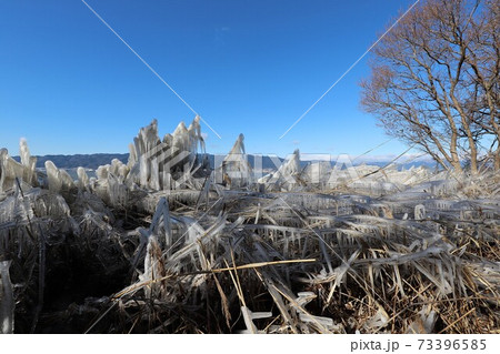 琵琶湖のしぶき氷 琵琶湖のしぶき氷 73396585