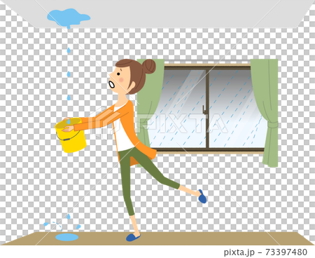 Leakage heavy rain 73397480