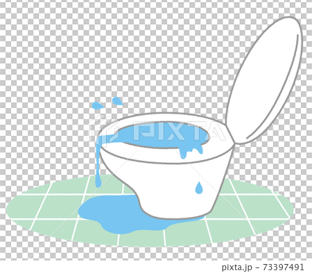 Toilet leak, that is 73397491