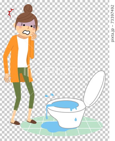 Toilet leak, that is 73397492
