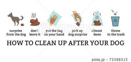 Dog poo clean up steps infographic set. Vector poster about hygiene animal, toilet cleaning information after your dog step by step. Picking waste in canine bag and throw in the trash Dog poo clean up steps infographic set. Vector poster about hygiene animal, toilet cleaning information after your dog step by step. Picking waste in canine bag and throw in the trash 73398315