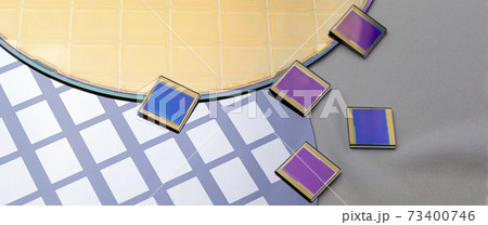 Several silicon wafers with printed circuit and separate microchips . 73400746