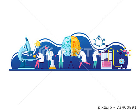 Studying human brain, character neurosurgeon doctor research cerebrum, tiny research fellow flat vector illustration, isolated on white. 73400891