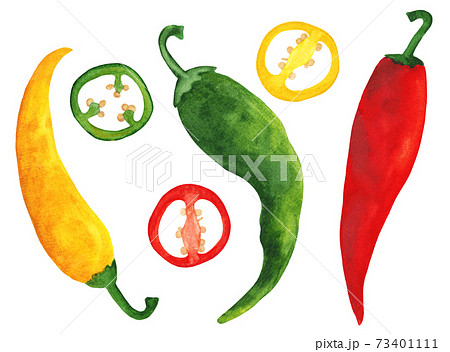 Chili pepper watercolor set with slices and seeds 73401111