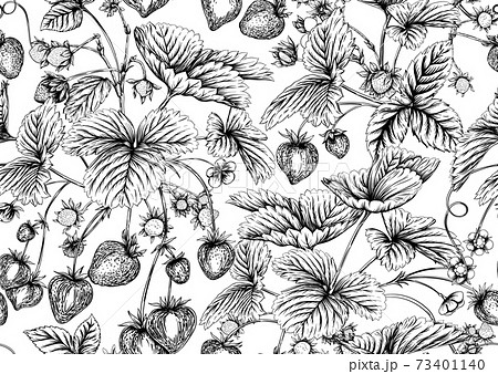 Strawberry. Ripe berries. Seamless pattern, background. 73401140