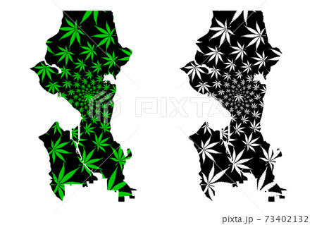 Seattle city - map is designed cannabis leaf 73402132