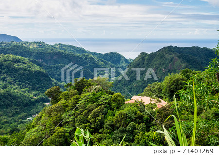 Landscape view on trail to the Trafalgar waterfalls. Morne Trois Pitons National Park, Dominica, Leeward Islands Landscape view on trail to the Trafalgar waterfalls. Morne Trois Pitons National Park, Dominica, Leeward Islands 73403269