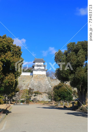 【兵庫県】晴天下の明石城（巽櫓） 73403713