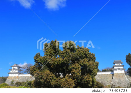 【兵庫県】晴天下の明石城（坤櫓と巽櫓） 73403723