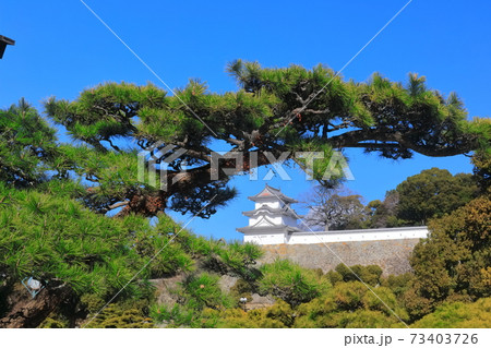 【兵庫県】晴天下の明石城(坤櫓) 【兵庫県】晴天下の明石城(坤櫓) 73403726