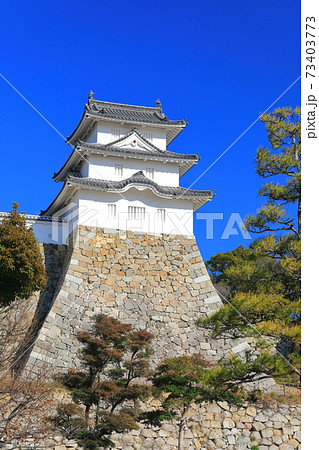 【兵庫県】晴天下の明石城(巽櫓) 【兵庫県】晴天下の明石城(巽櫓) 73403773