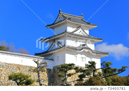 【兵庫県】晴天下の明石城（巽櫓） 73403781