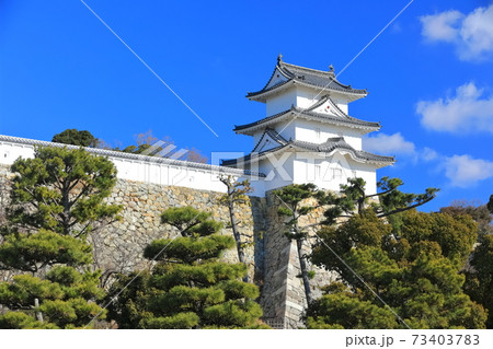 【兵庫県】晴天下の明石城（巽櫓） 73403783