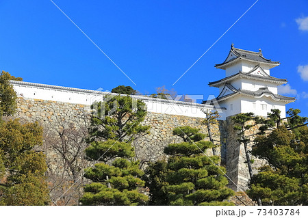 【兵庫県】晴天下の明石城（巽櫓） 73403784