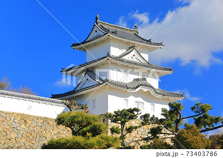 【兵庫県】晴天下の明石城（巽櫓） 73403786