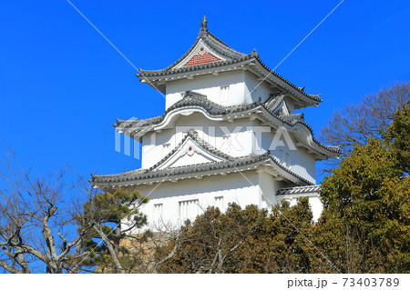 【兵庫県】晴天下の明石城（坤櫓） 73403789