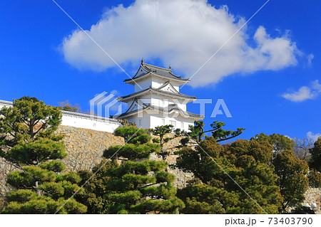【兵庫県】晴天下の明石城(巽櫓) 【兵庫県】晴天下の明石城(巽櫓) 73403790