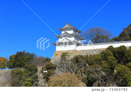 【兵庫県】晴天下の明石城（坤櫓） 73403795