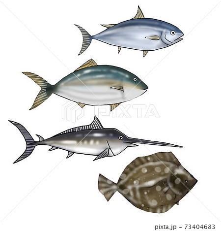 種類豊富な魚のイラストのイラスト素材