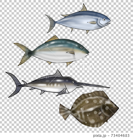 種類豊富な魚のイラストのイラスト素材