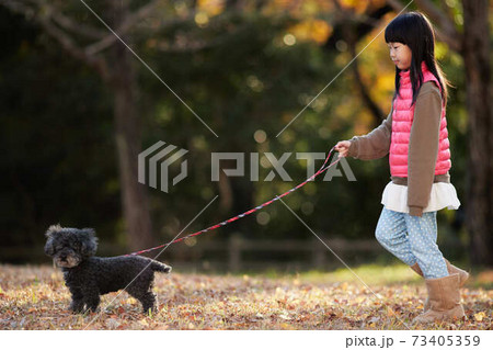 冬の公園でプードルの犬を連れて散歩している子供の様子の写真素材