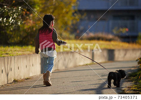 住宅街で犬を連れて散歩している子供の写真素材