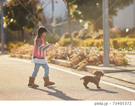 住宅街で犬を連れて散歩している子供の写真素材